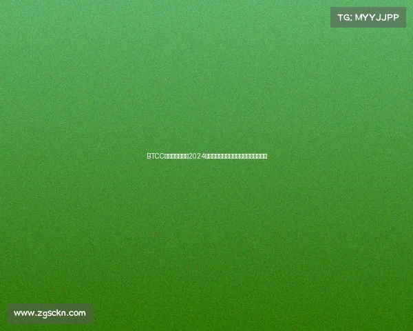 BTCC英国房车锦标赛2024赛季全新启航速度激情巅峰对决荣耀时刻